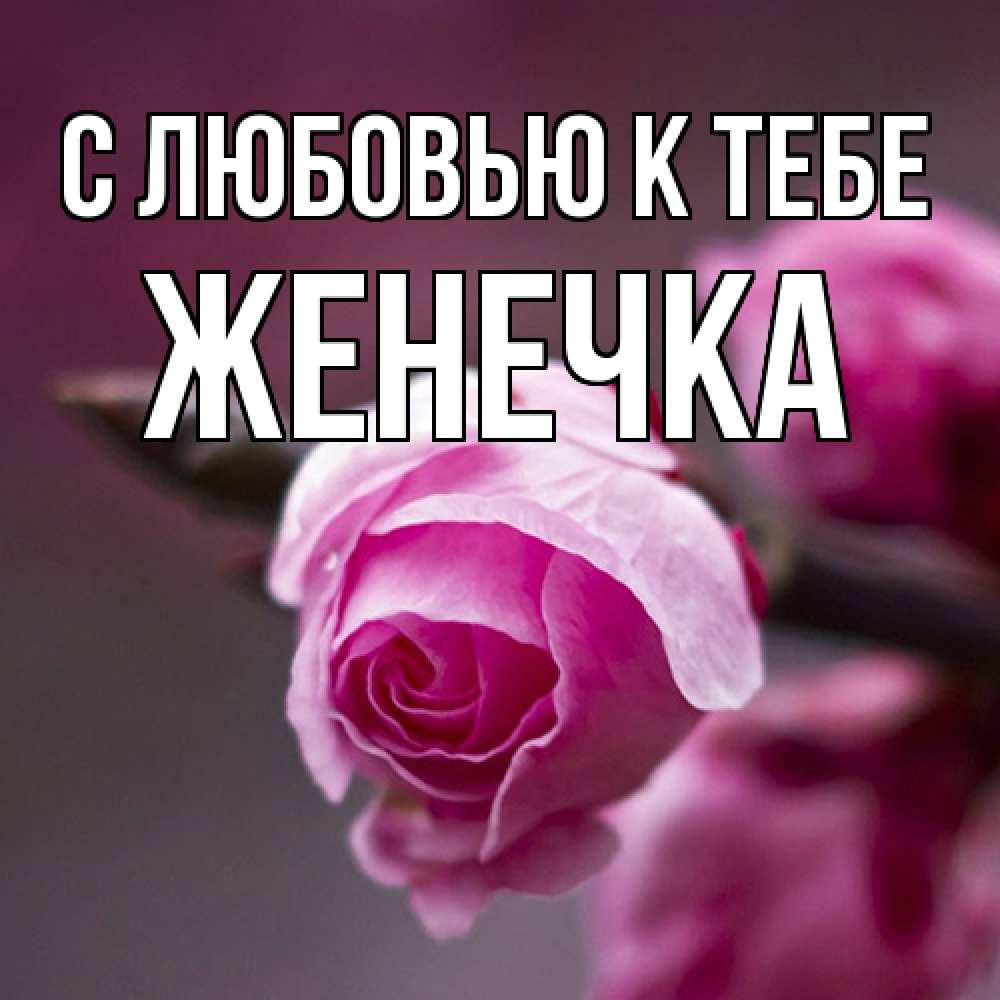 Открытка  с именем. Женечка, С любовью к тебе  