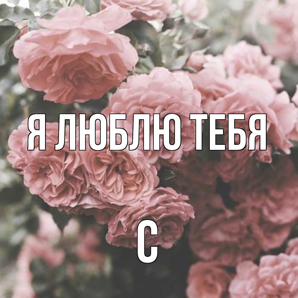 Открытка  с именем. с, Я люблю тебя  