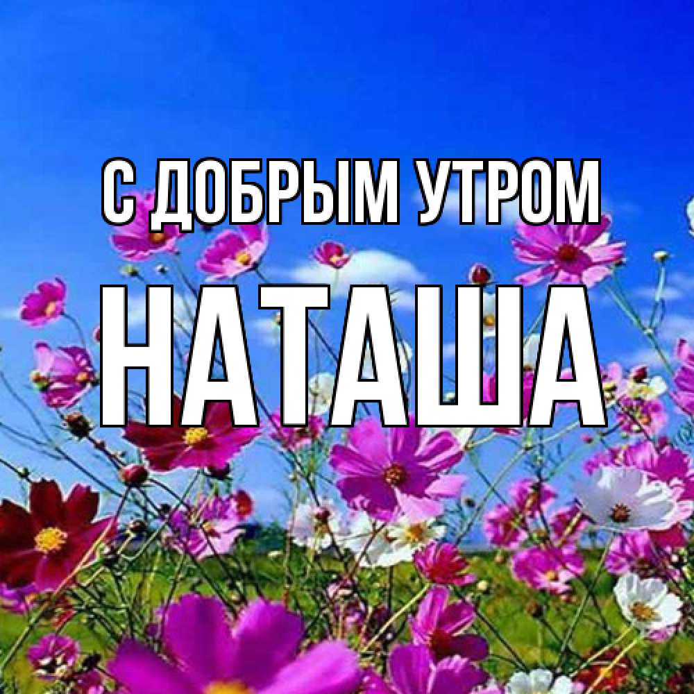 Открытка  с именем. Наташа, С добрым утром  