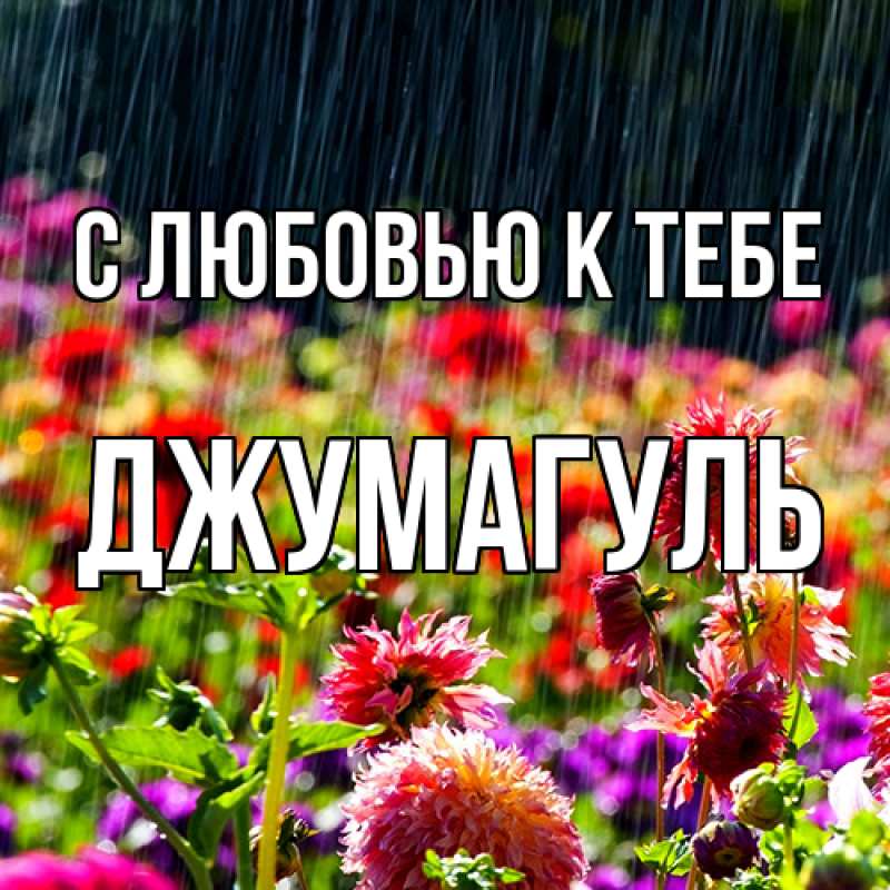 Картинка С любовью к тебе, Джумагуль