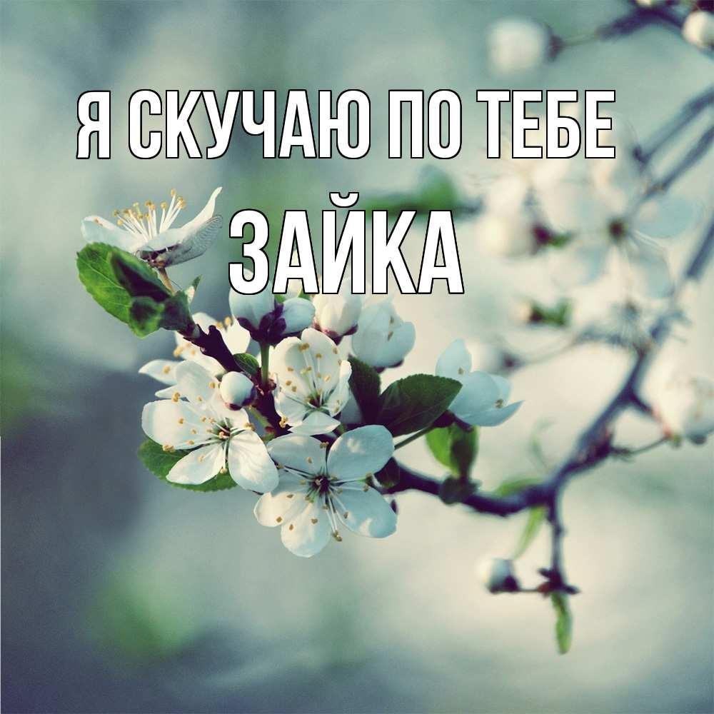 Открытка  с именем. Зайка, Я скучаю по тебе  