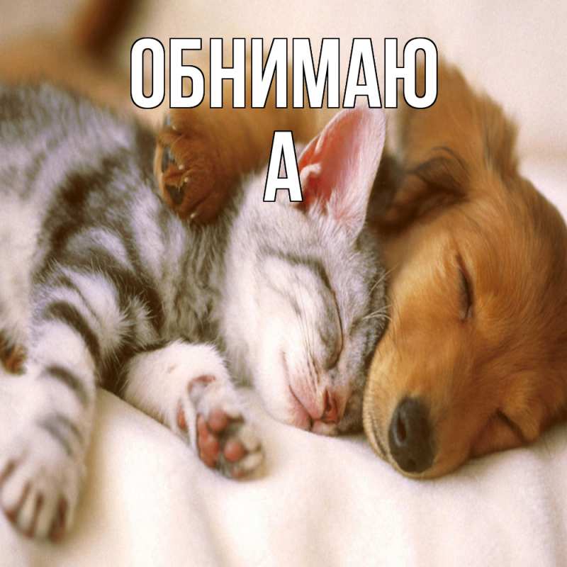 Картинка Обнимаю, а