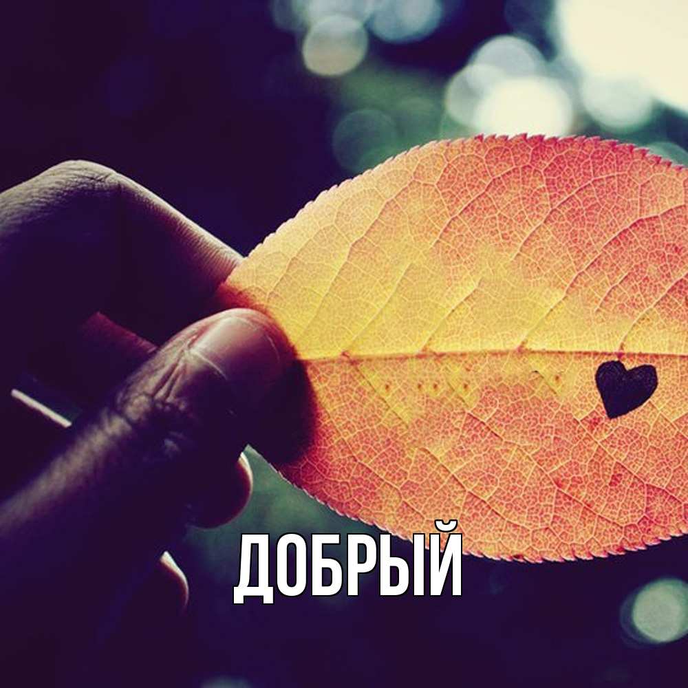 Открытка  с именем. Добрый, Главная  