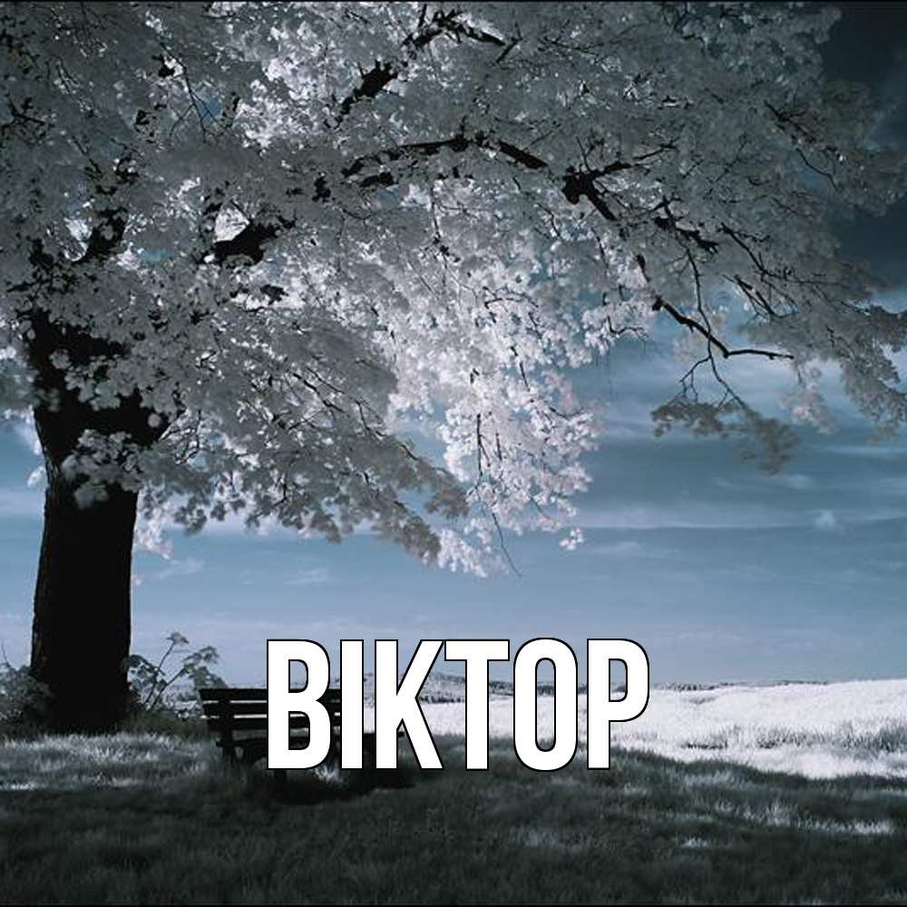 Открытка  с именем. Віктор, Главная  