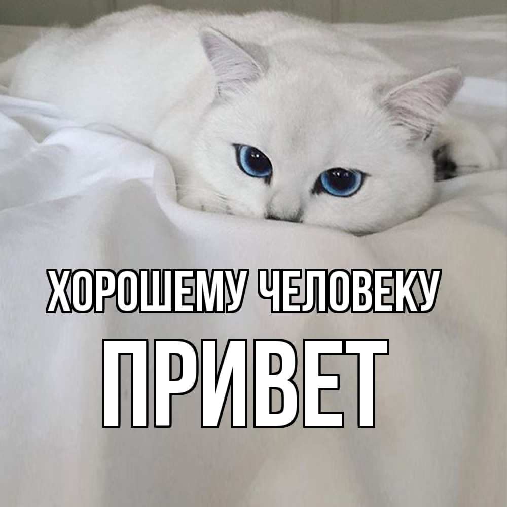 Открытка  с именем. Привет, Хорошему человеку  
