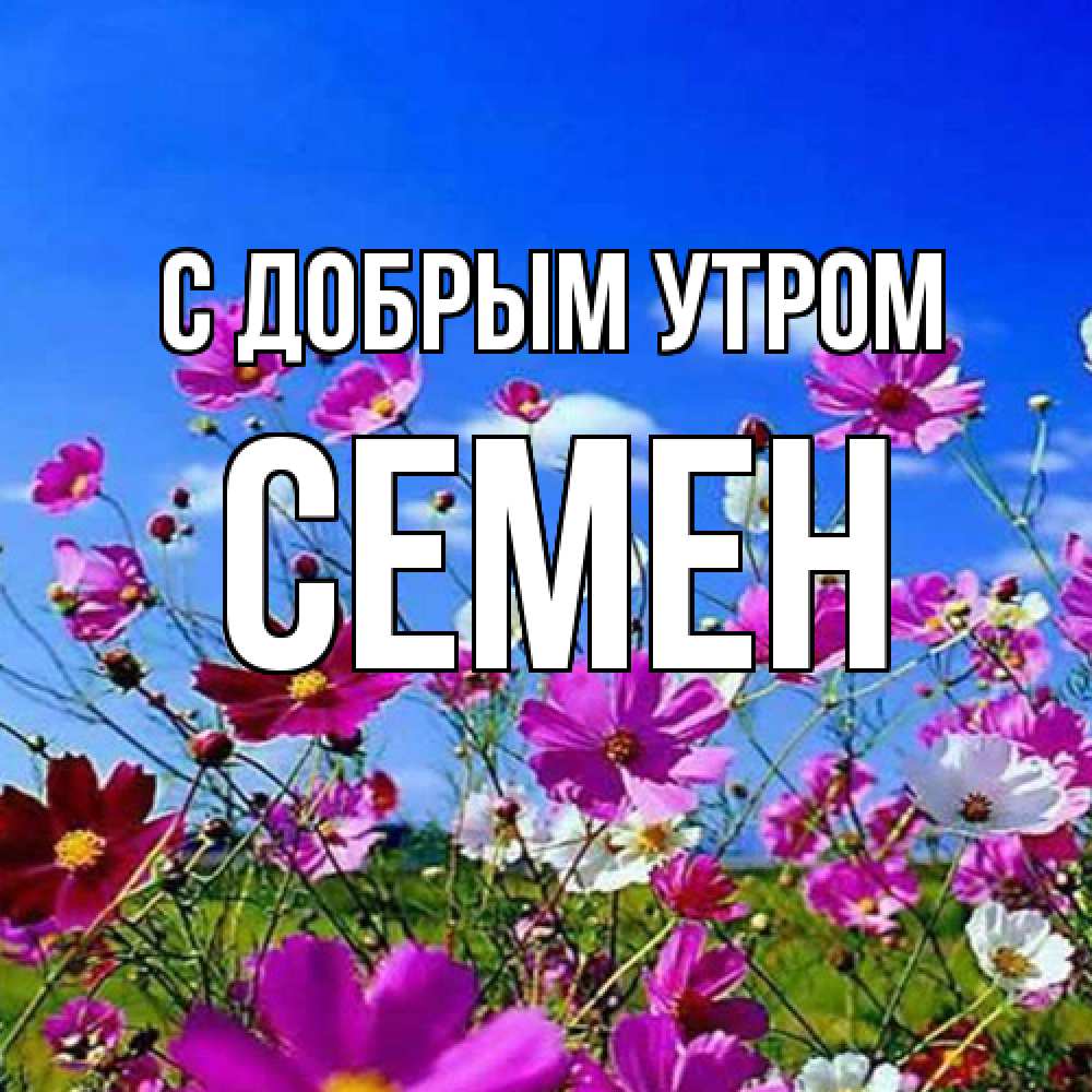 Открытка  с именем. Семен, С добрым утром  