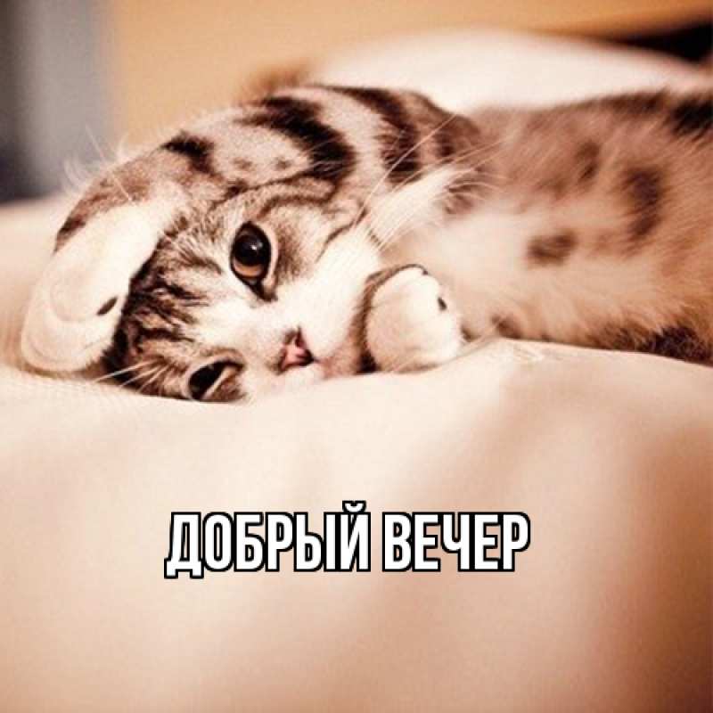 Картинка Добрый вечер, 