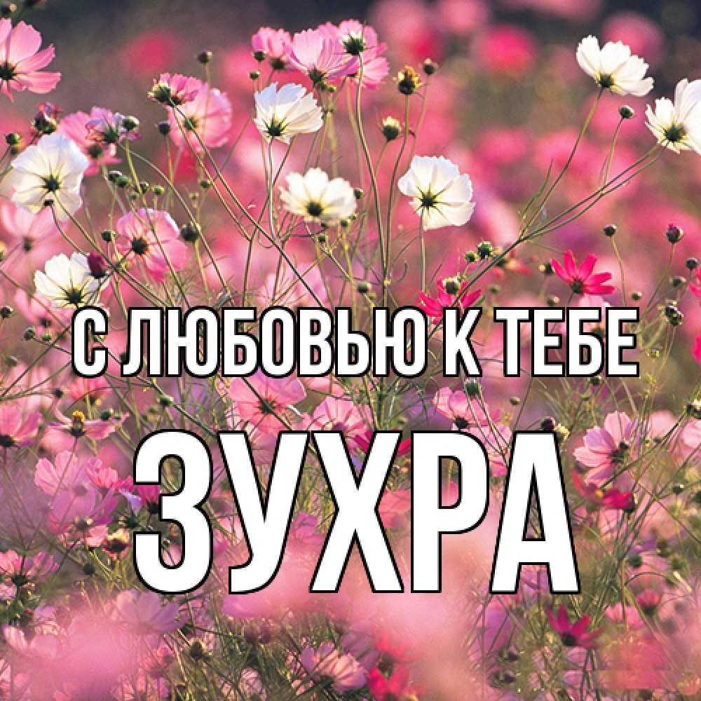 Открытка  с именем. Зухра, С любовью к тебе  