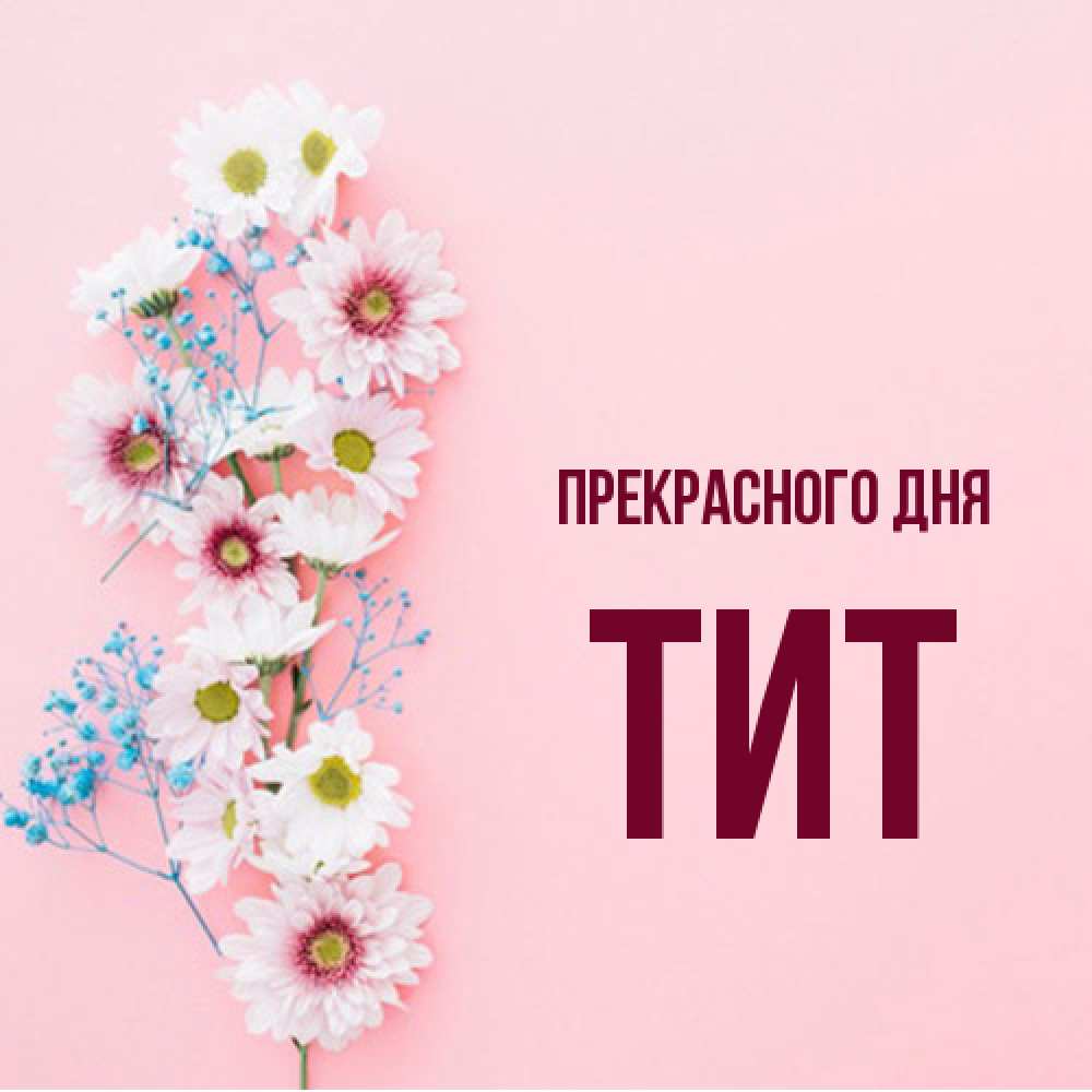 Открытка  с именем. Тит, Прекрасного дня  