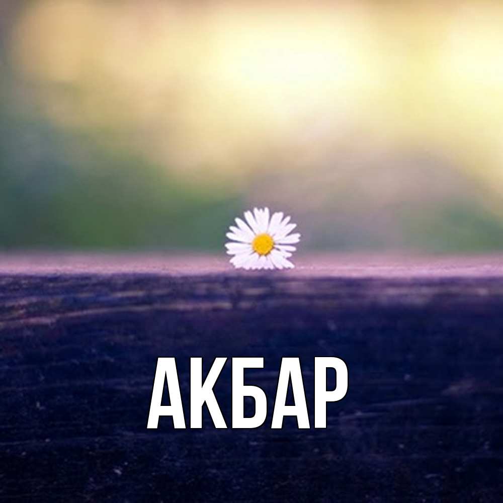 Открытка  с именем. Акбар, Главная  