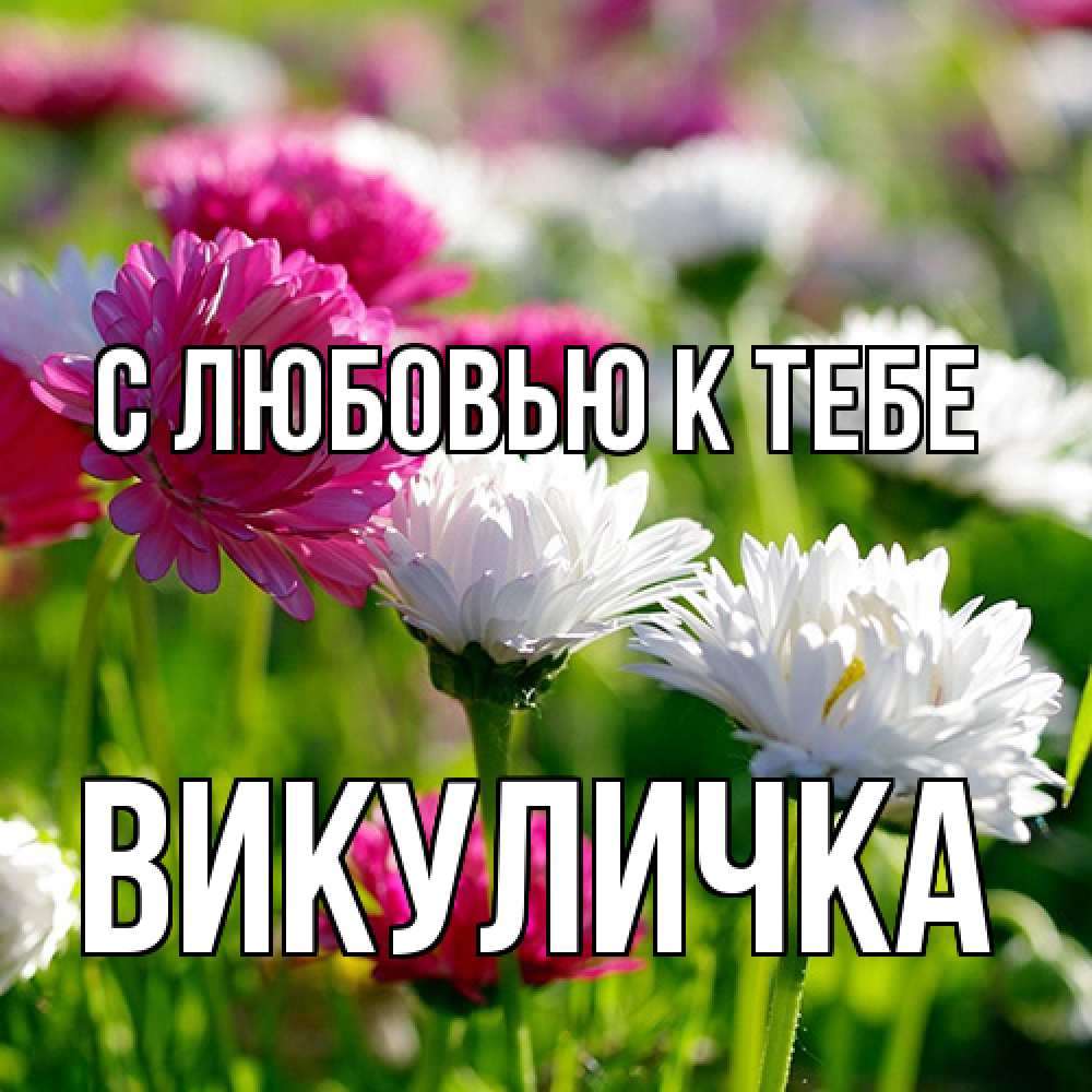 Открытка  с именем. Викуличка, С любовью к тебе  