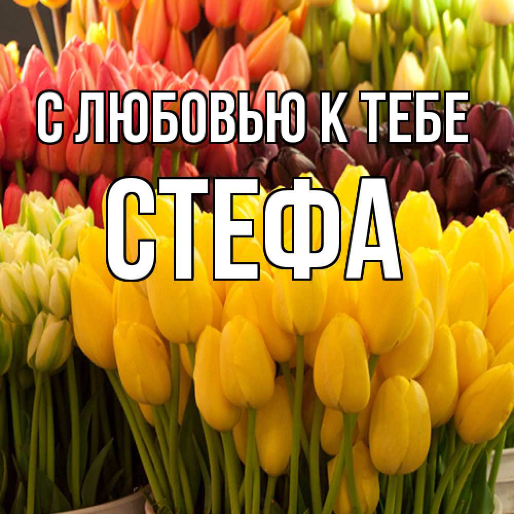 Открытка  с именем. стефа, С любовью к тебе  