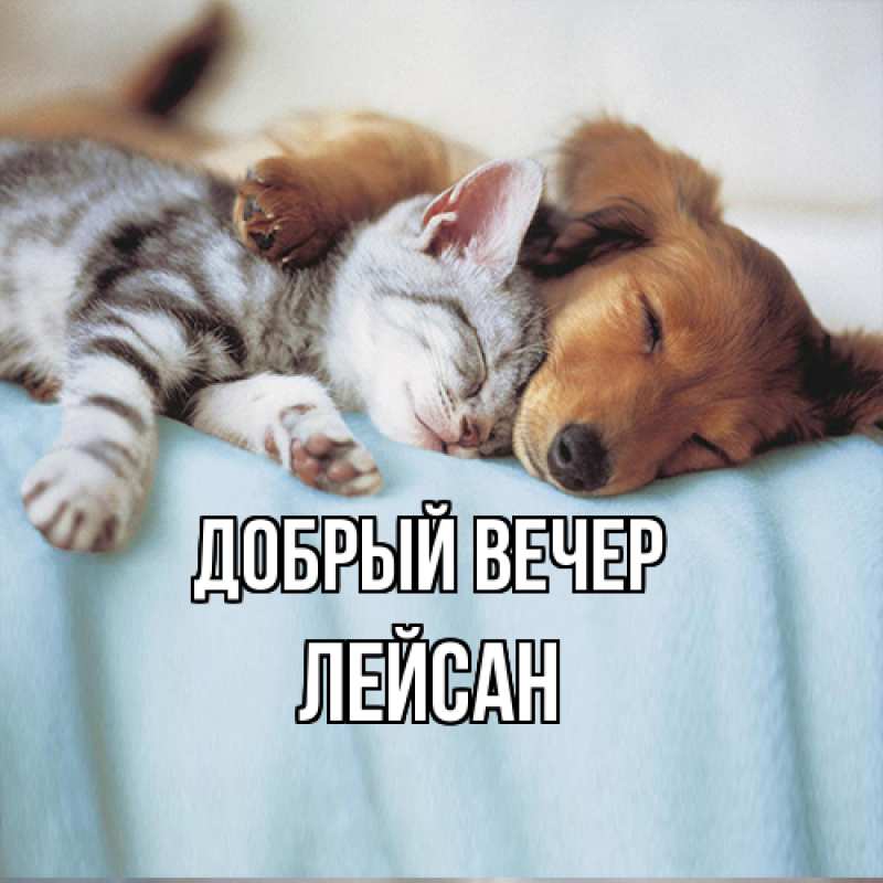 Открытка с именем, Лейсан, Добрый вечер