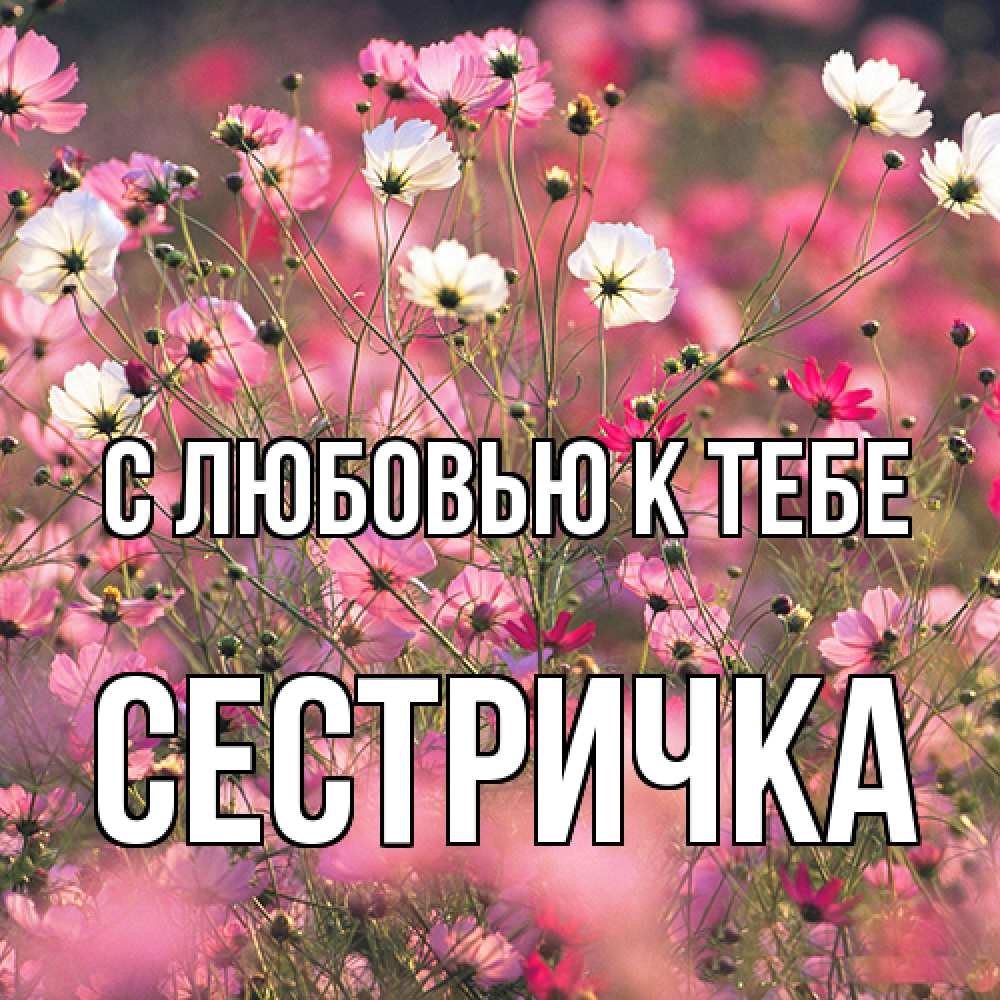 Открытка  с именем. Сестричка, С любовью к тебе  
