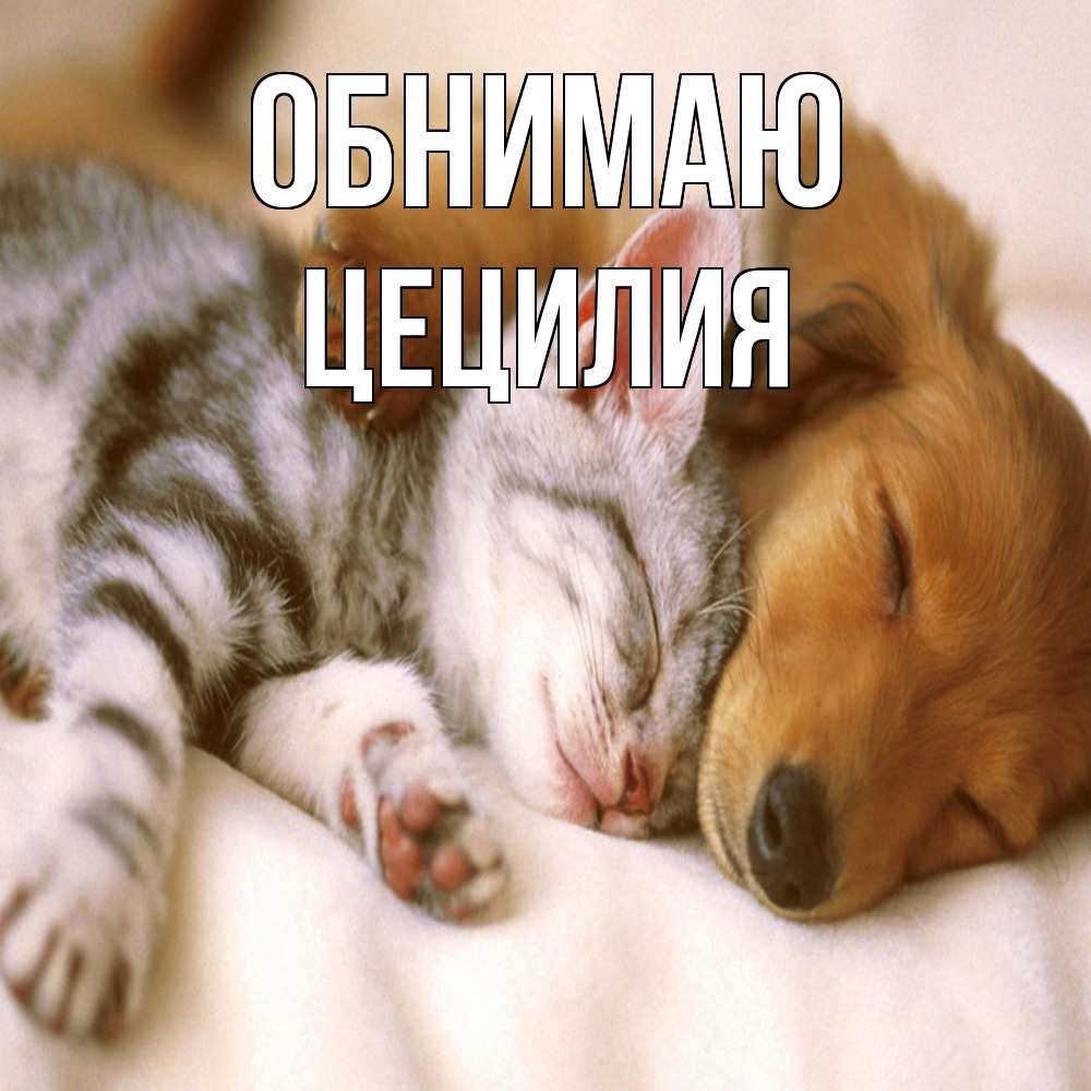 Открытка  с именем. Цецилия, Обнимаю  