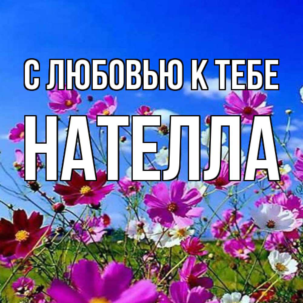 Открытка  с именем. Нателла, С любовью к тебе  