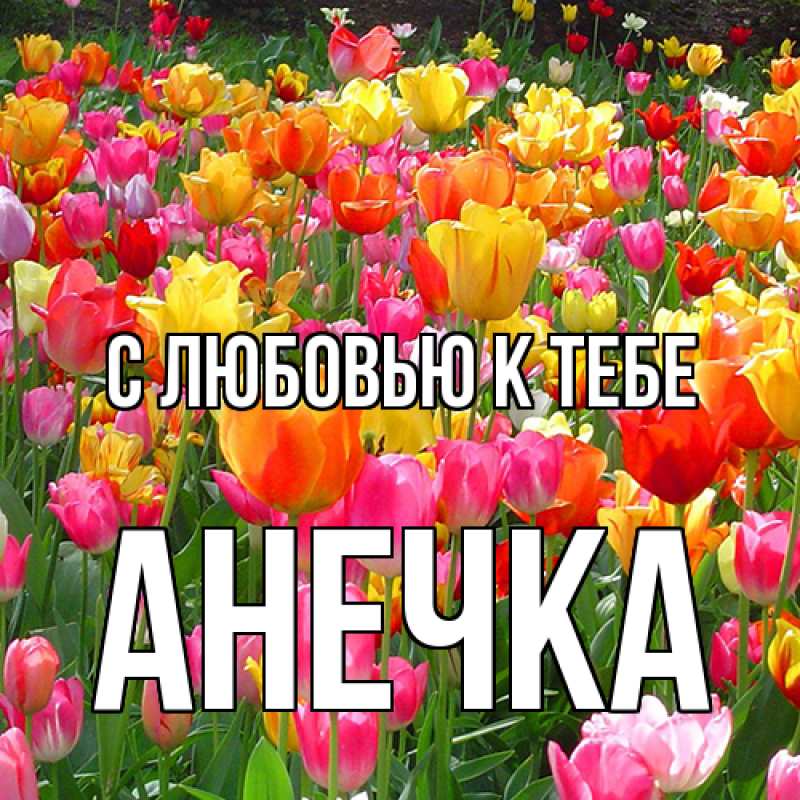 Картинка С любовью к тебе, анечка