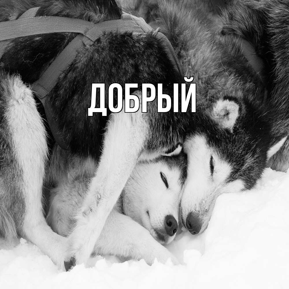 Открытка  с именем. Добрый, Главная  