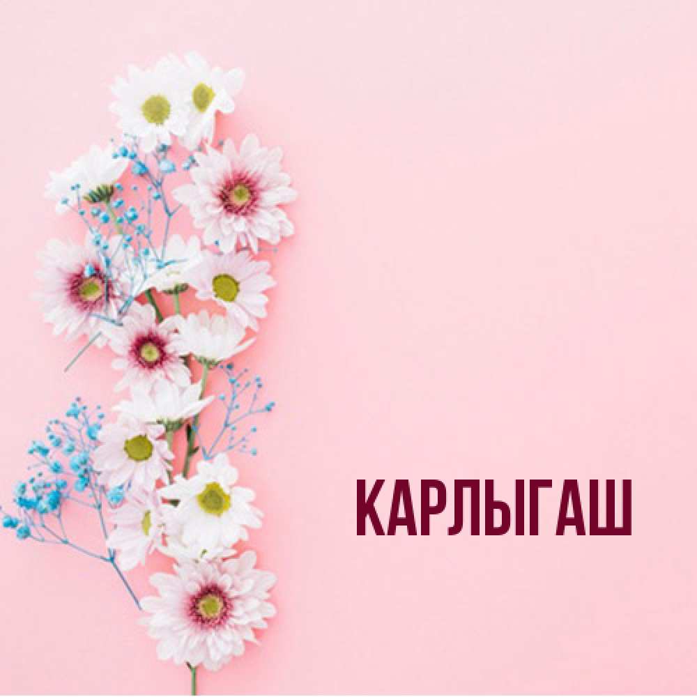 Открытка  с именем. Карлыгаш, Главная  
