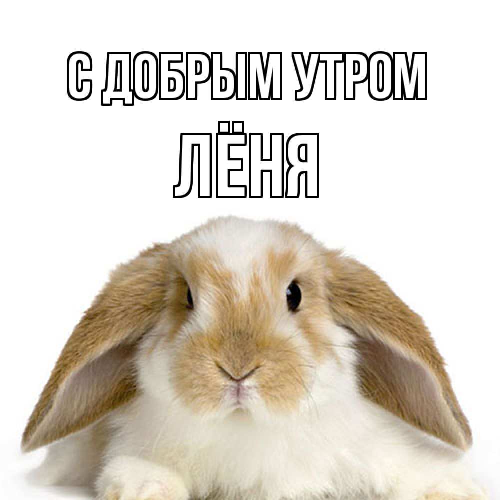Открытка  с именем. Лёня, С добрым утром  