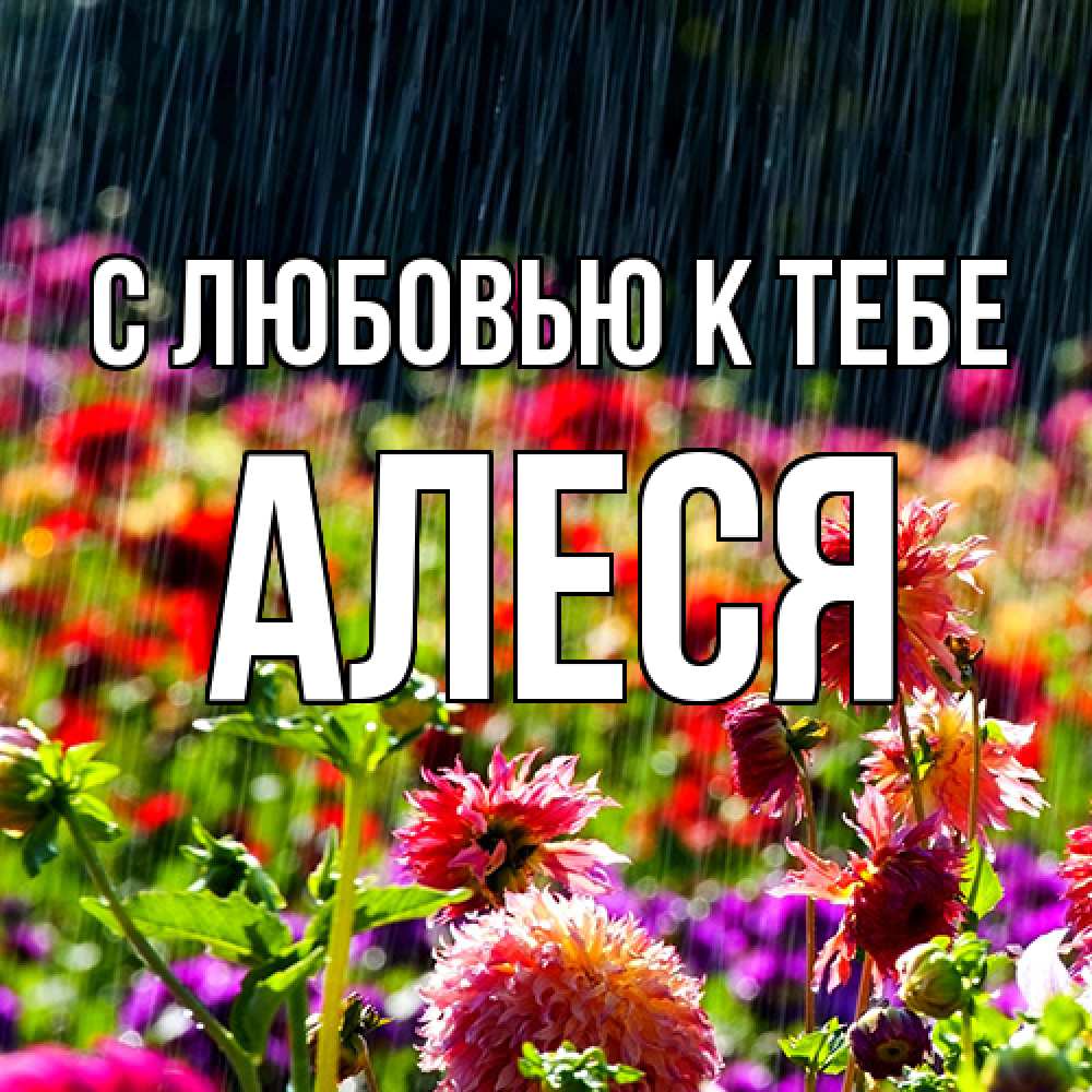 Открытка  с именем. Алеся, С любовью к тебе  