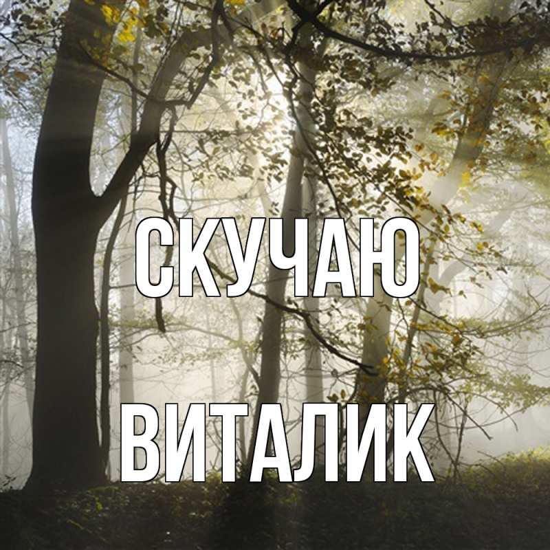 Картинка Скучаю, Виталик