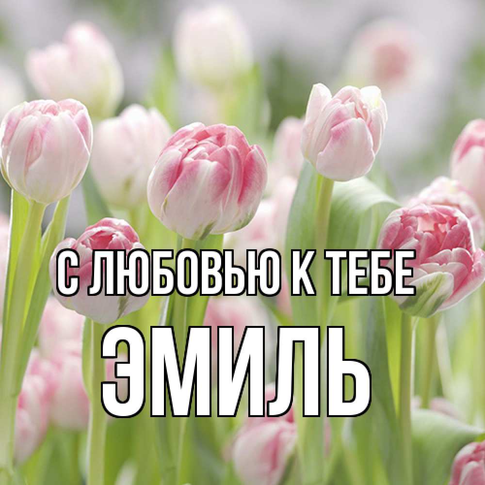 Открытка  с именем. Эмиль, С любовью к тебе  