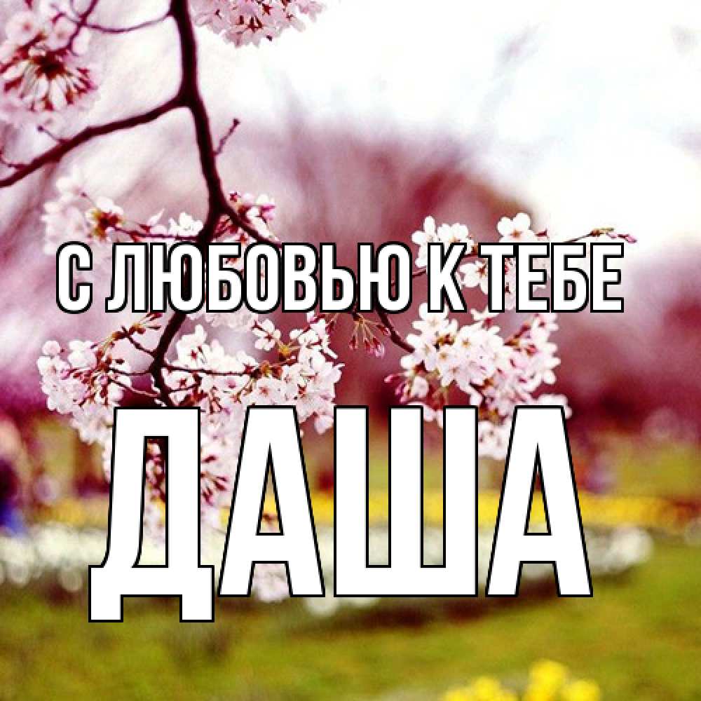 Открытка  с именем. даша, С любовью к тебе  