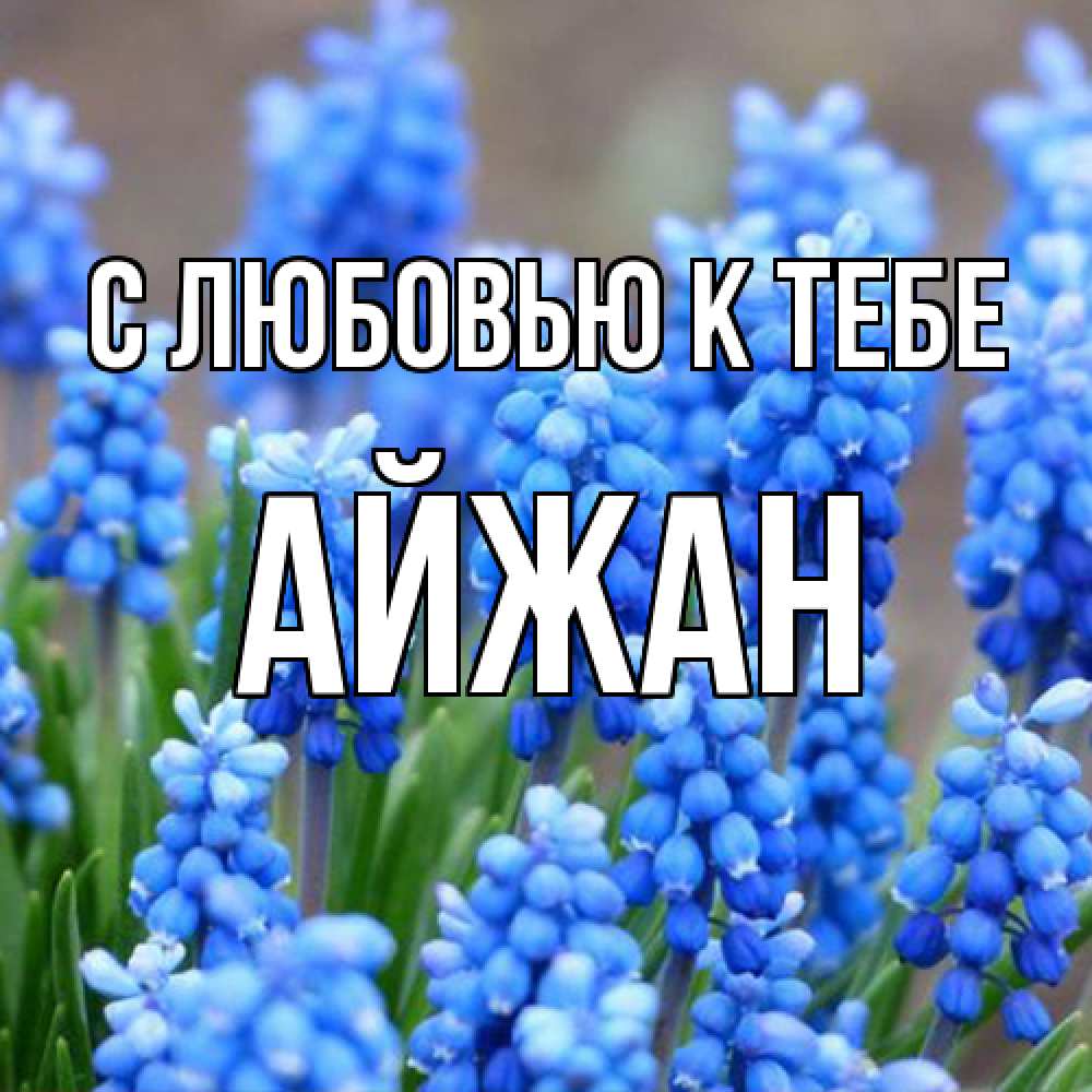 Открытка  с именем. Айжан, С любовью к тебе  