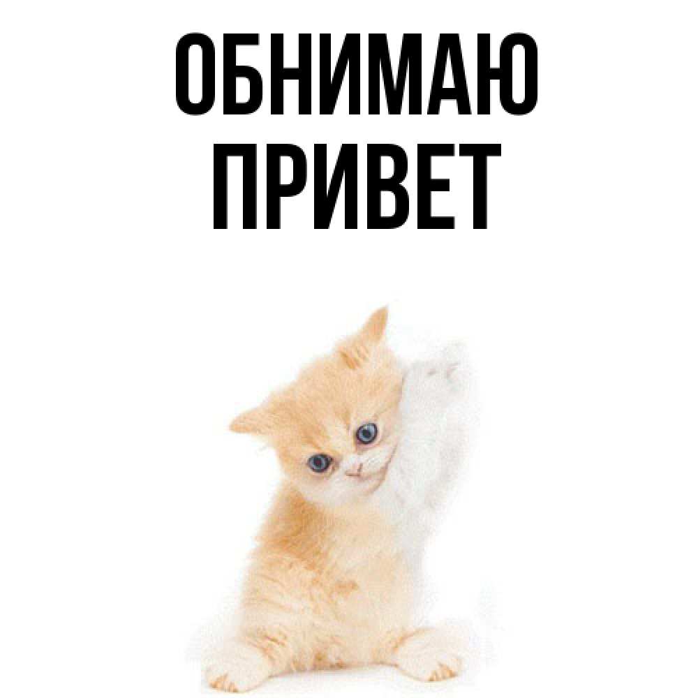 Открытка  с именем. Привет, Обнимаю  