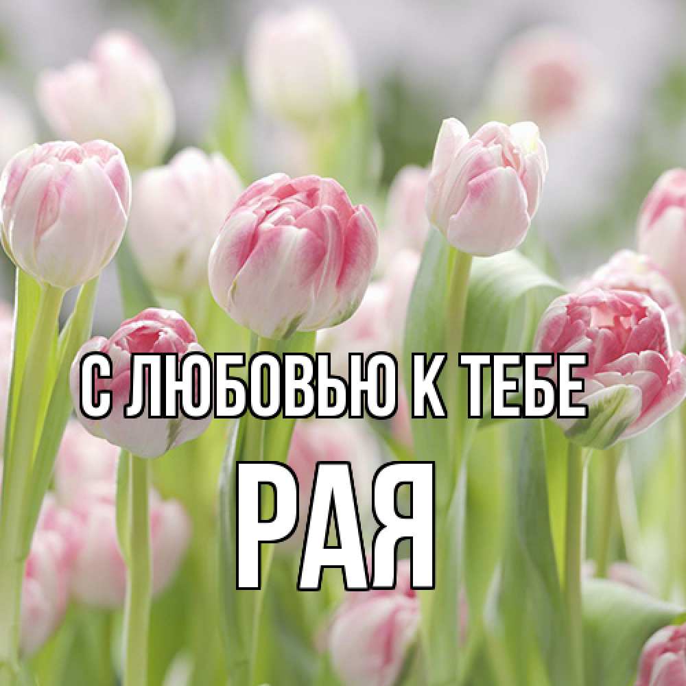 Открытка  с именем. Рая, С любовью к тебе  