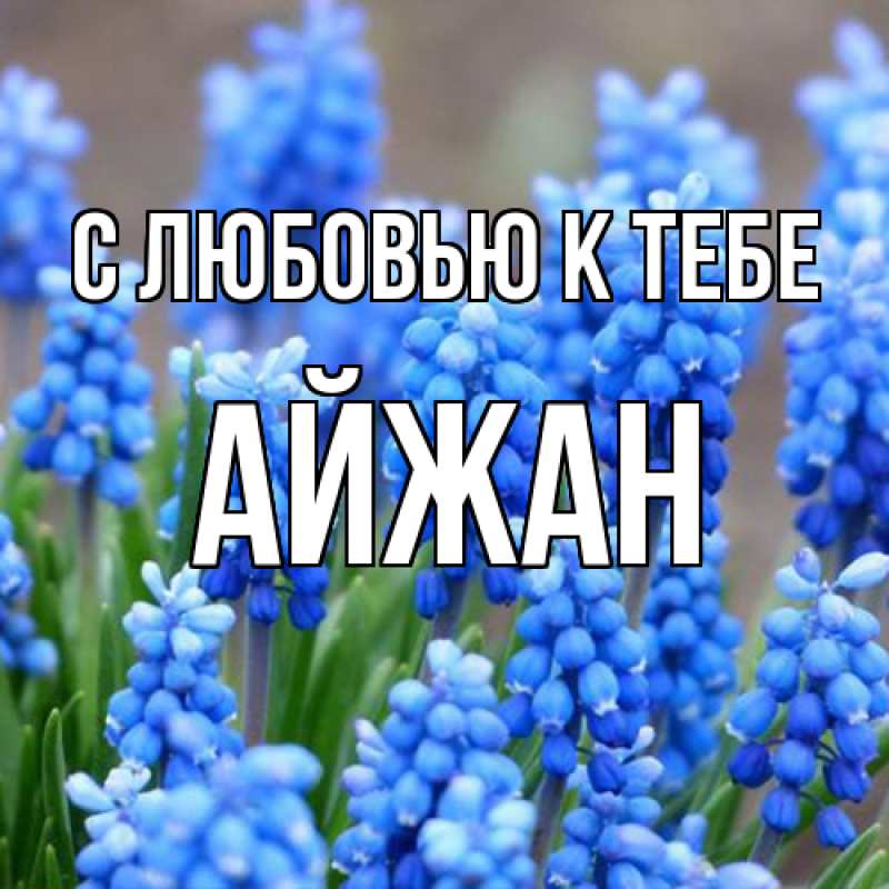 Картинка С любовью к тебе, Айжан