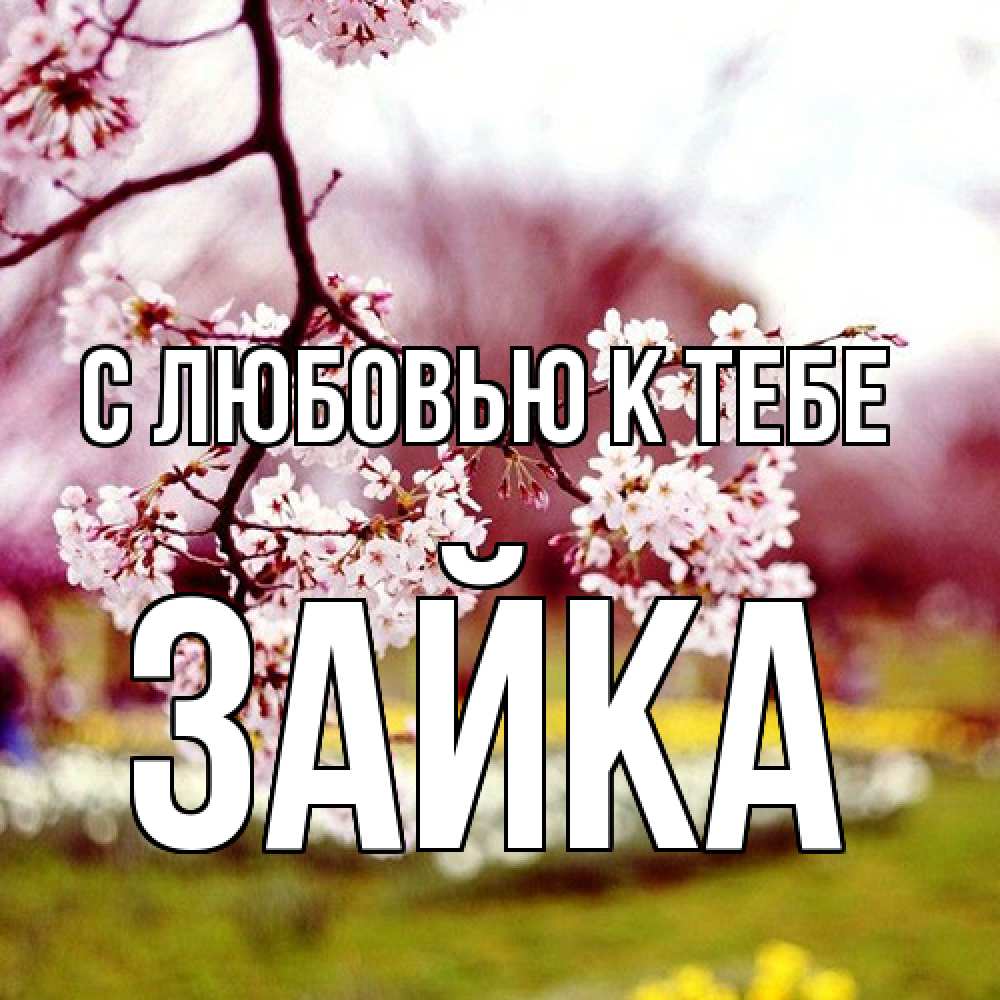 Открытка  с именем. Зайка, С любовью к тебе  