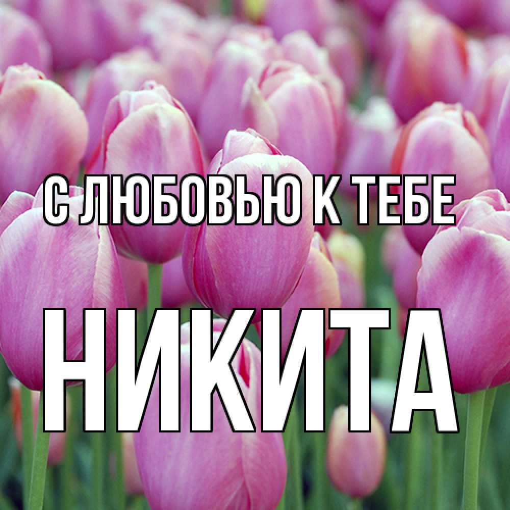 Открытка  с именем. Никита, С любовью к тебе  