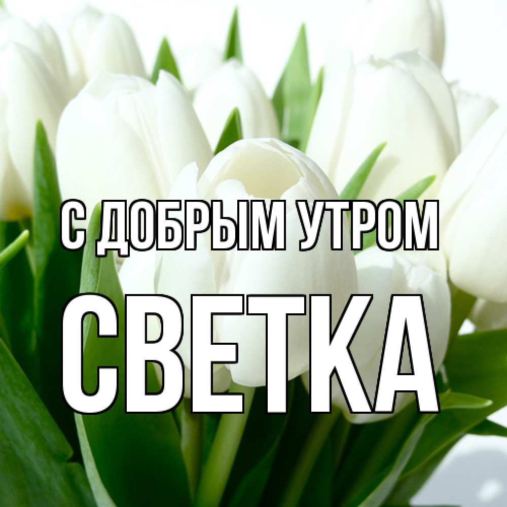 Открытка  с именем. Светка, С добрым утром  