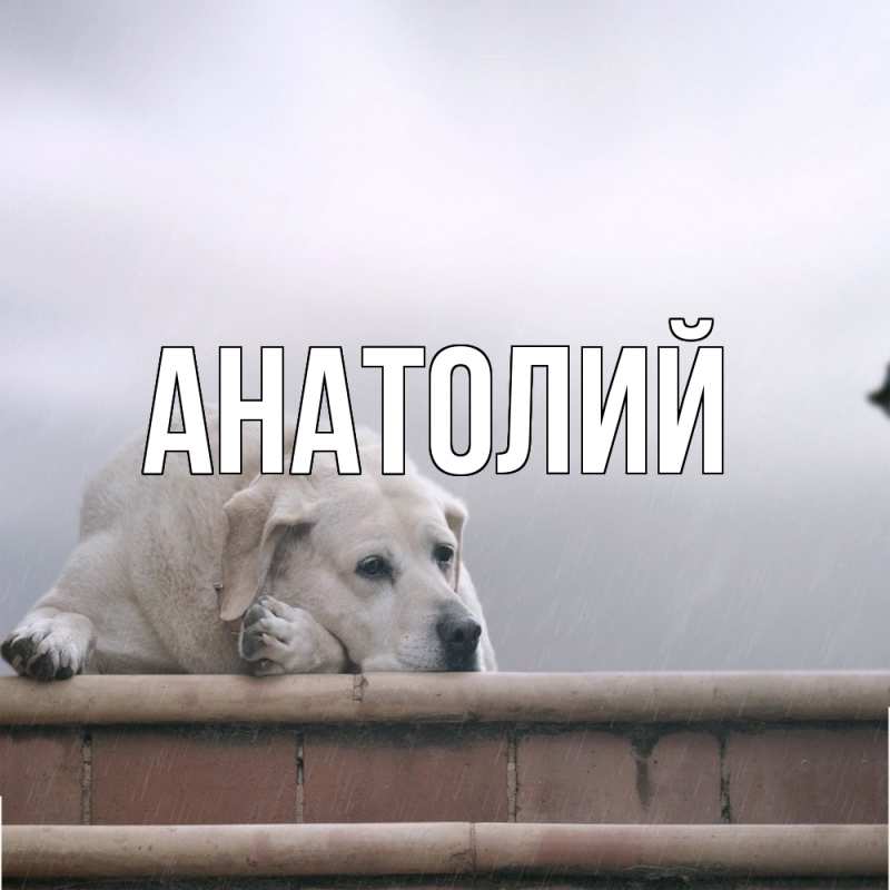 Картинка  с именем , Анатолий