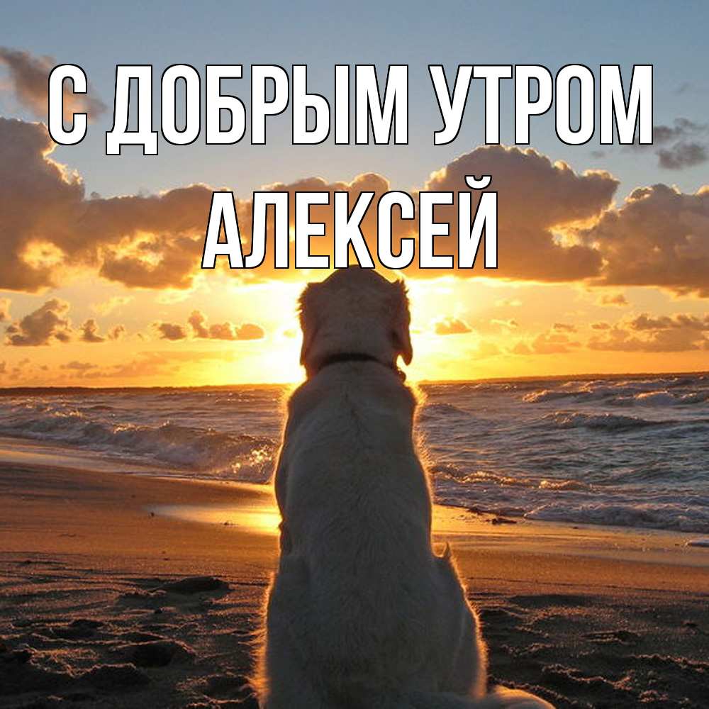 Открытка  с именем. Алексей, С добрым утром  