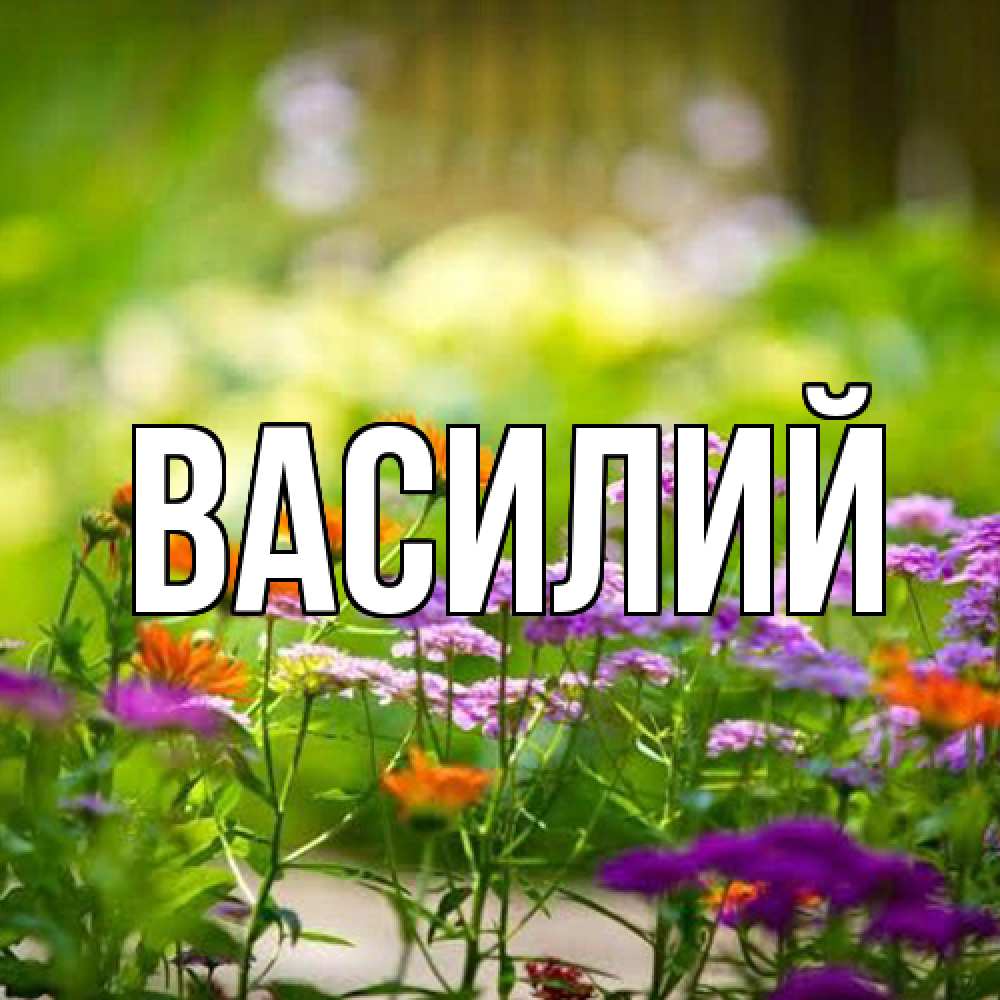 Открытка  с именем. Василий, Главная  