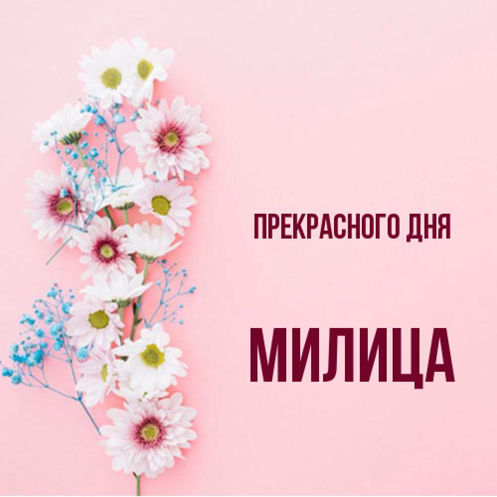 Открытка  с именем. Милица, Прекрасного дня  