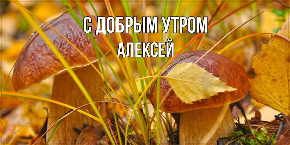 Открытка  с именем. Алексей, С добрым утром  