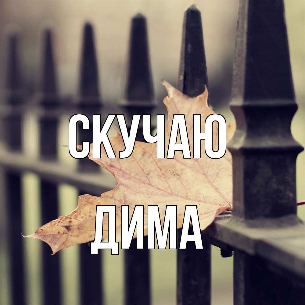Открытка  с именем. Дима, Скучаю  