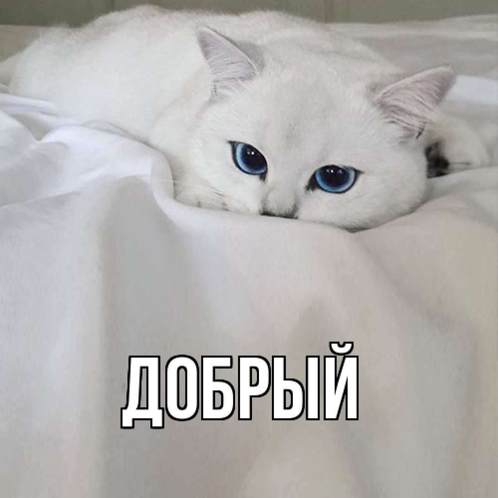 Открытка  с именем. Добрый, Главная  