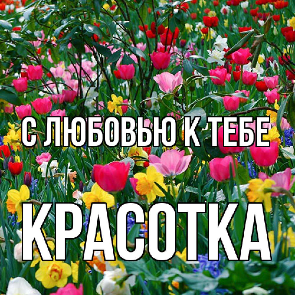 Открытка  с именем. Красотка, С любовью к тебе  
