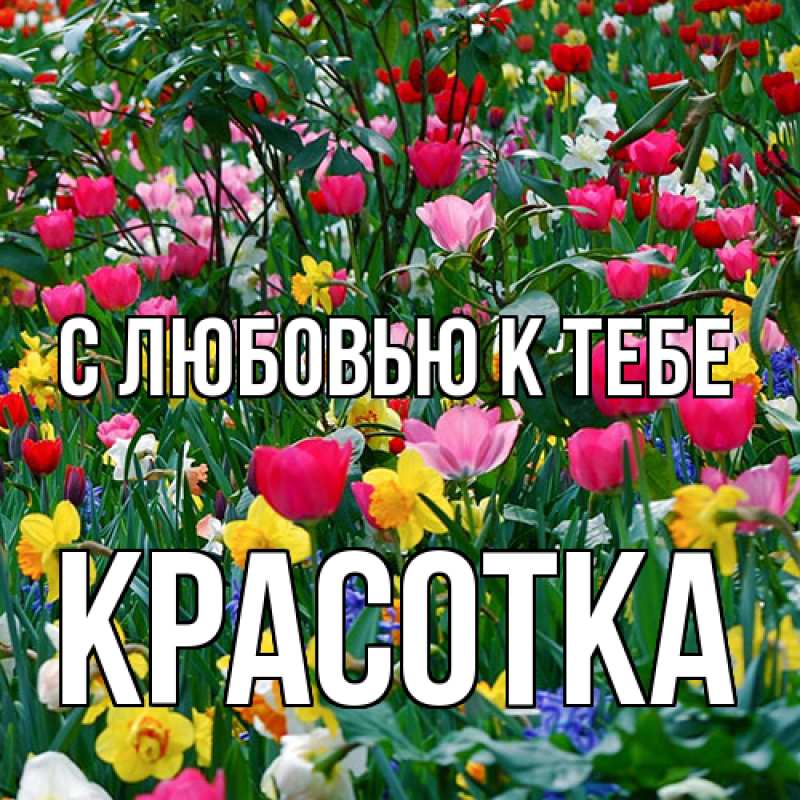 Картинка С любовью к тебе, Красотка