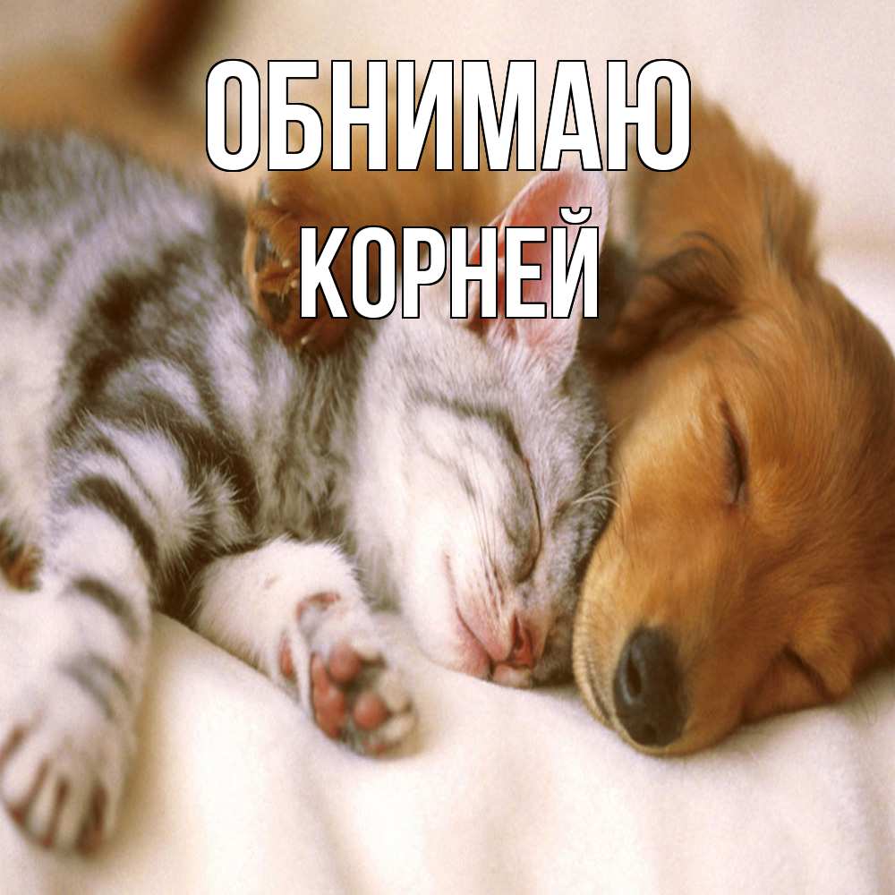 Открытка  с именем. Корней, Обнимаю  