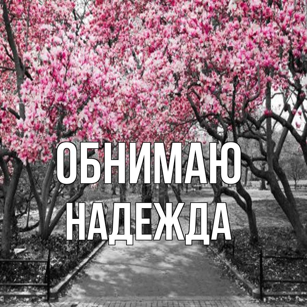 Открытка  с именем. Надежда, Обнимаю  