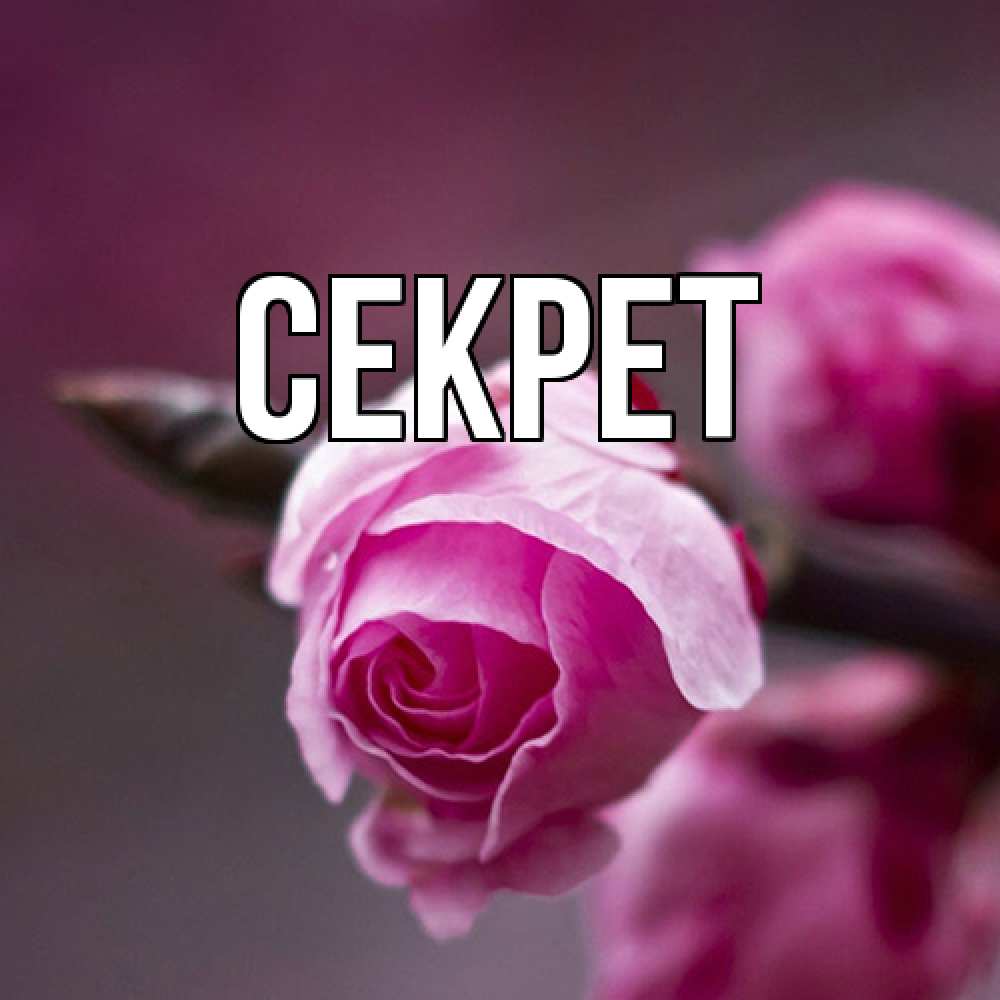 Открытка  с именем. Секрет, Главная  