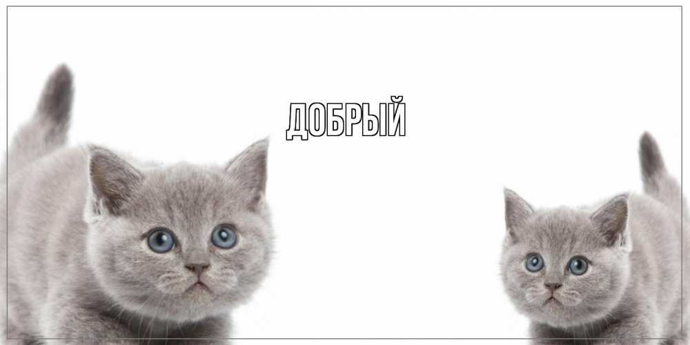 Открытка  с именем. Добрый, Главная  