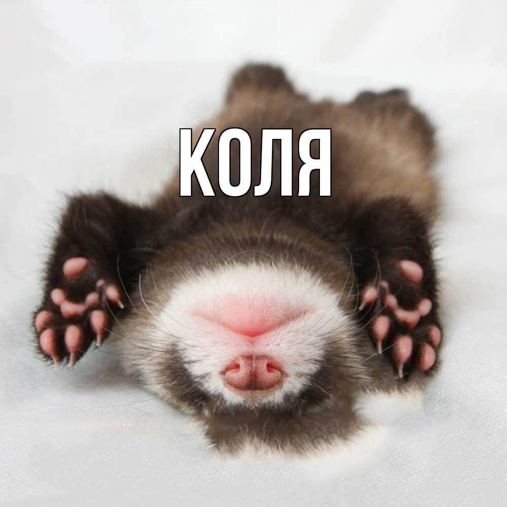 Открытка  с именем. коля, Главная  