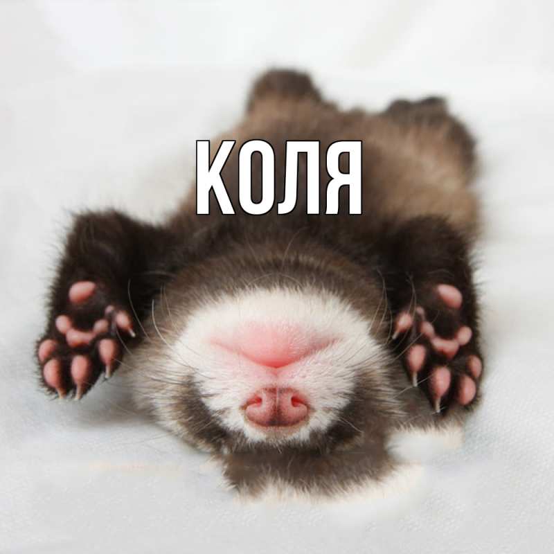 Картинка  с именем , коля